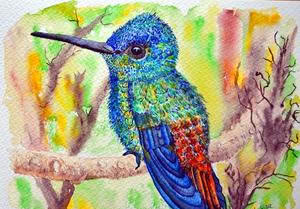 Aquarellbild Tiere - Kolibri in schillernden Farben